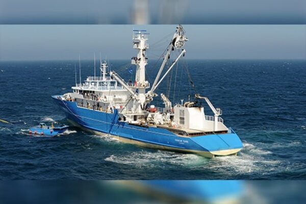 Gallery-nai-4 Gallery-nai-4