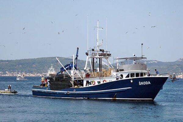 Gallery-nai-8 Gallery-nai-8