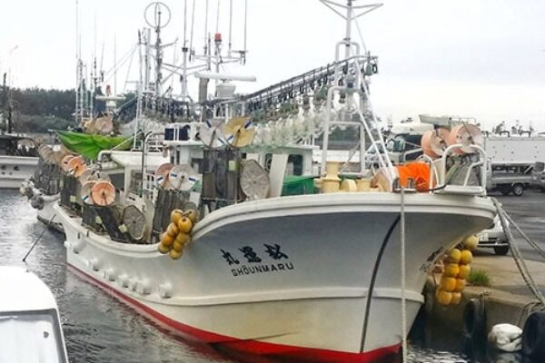 Gallery-nai-9 Gallery-nai-9